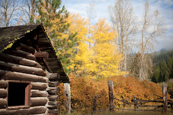 Another Season  Enjoyed BSL Seeley Lake, MT