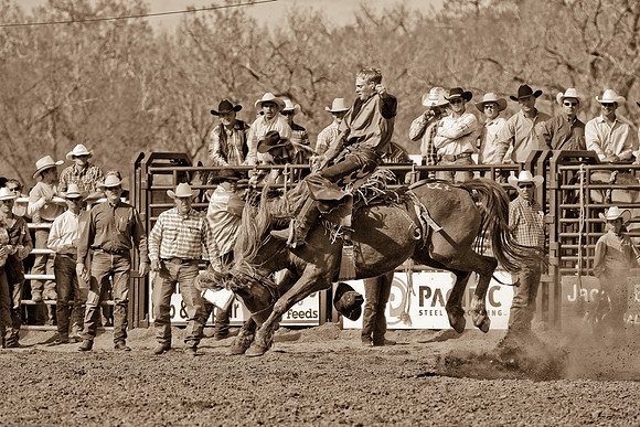 miles_city-1158-527