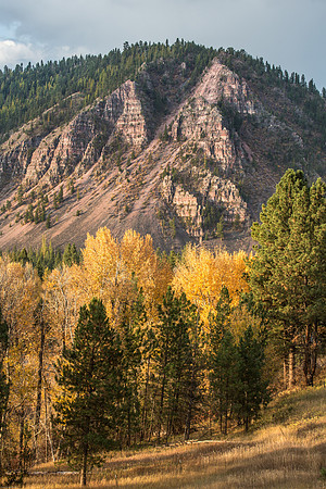 Fall Begins Along the Blackfoot River