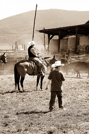 calf_branding_1009