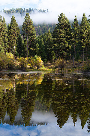 The Gate Pond