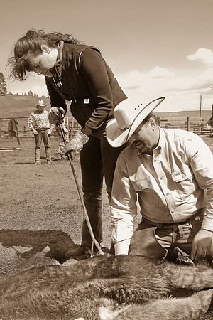 calf_branding_2_689