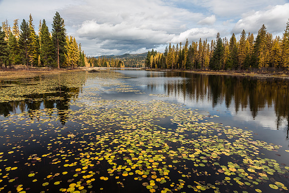 Clearwater River Fall