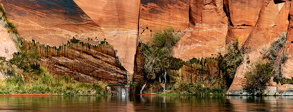 20201115-_U7A7584-Pano