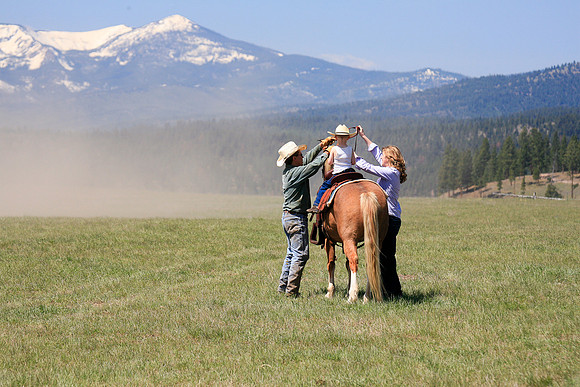 calf_branding_675