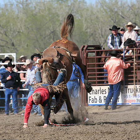 miles_city-1164-533