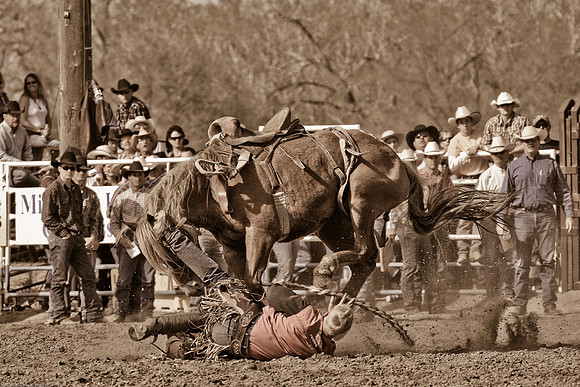 miles_city-1166-535