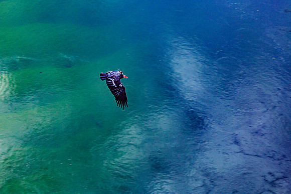 November 01, 202020201101-_U7A6978