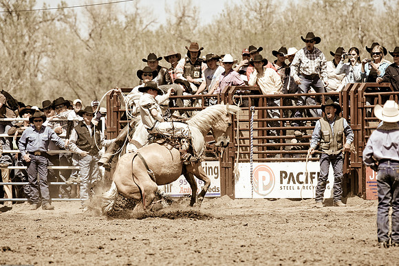 miles_city-2037-256