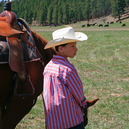 calf_branding_780