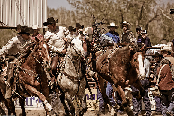 miles_city-2242-299