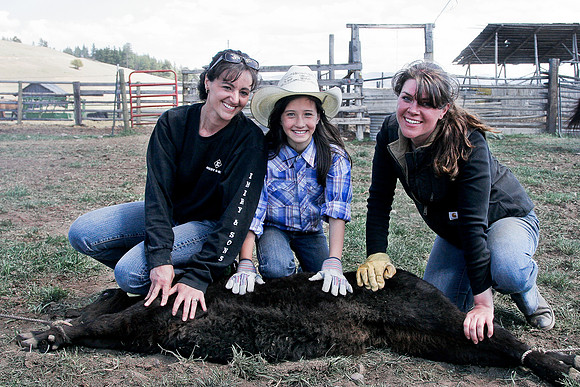 calf_branding_2_688