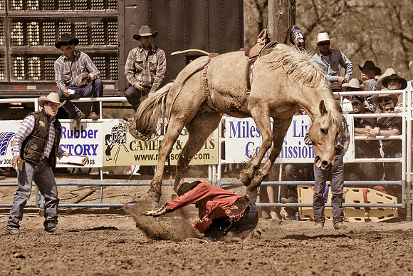 miles_city-2255-310