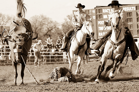 miles_city-1554-610