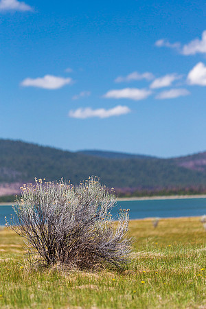 Juander-02-13