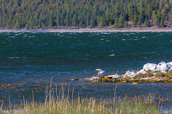 Juander-15-12