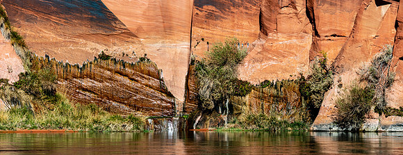 20201115-_U7A7584-Pano