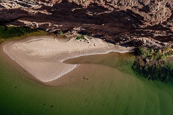 one in the water and one on the beach
