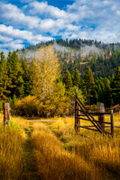The Gate at  the Gate