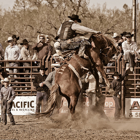 miles_city-1286-573