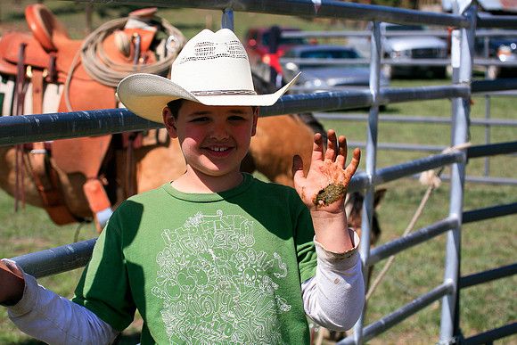 calf_branding_921