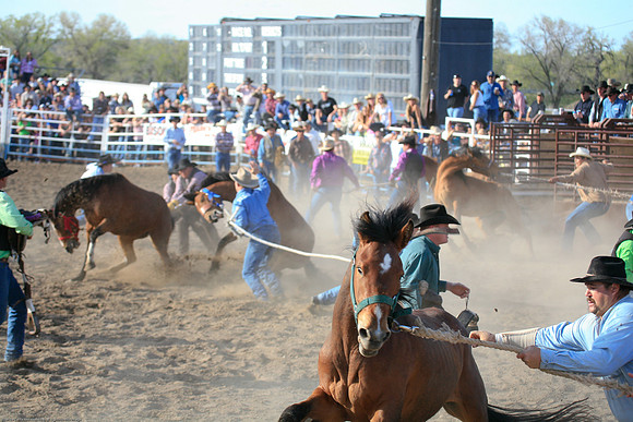 miles_city-1596-617