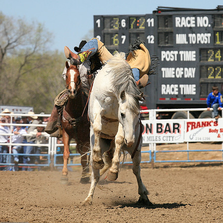 miles_city-2099-301