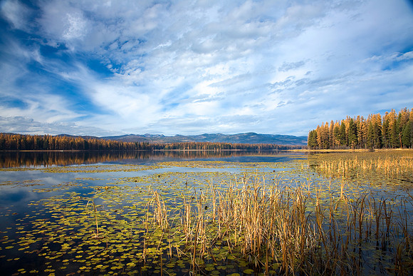 Randi's Favorite Fall, Seeley Lake, MT