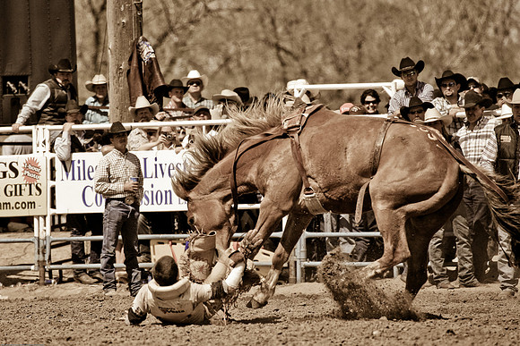 miles_city-2273-317