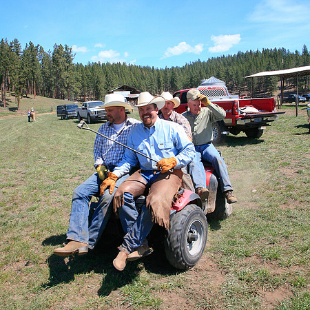calf_branding_645