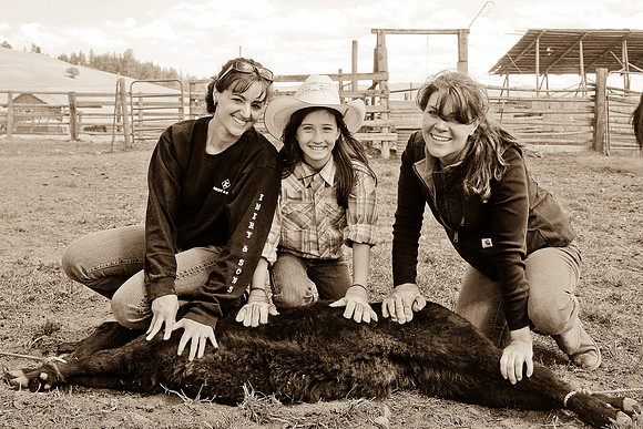 calf_branding_2_687-2