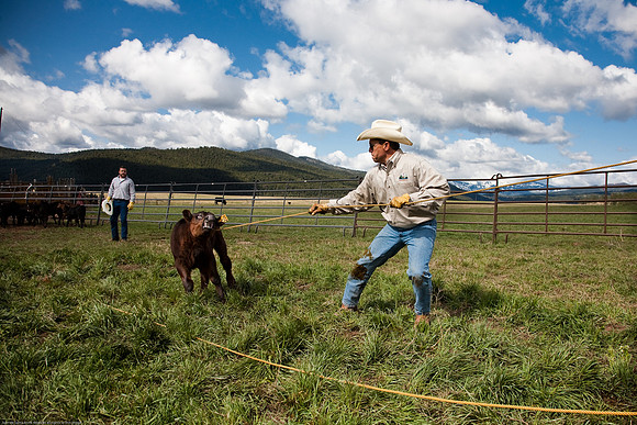 branding_09-166