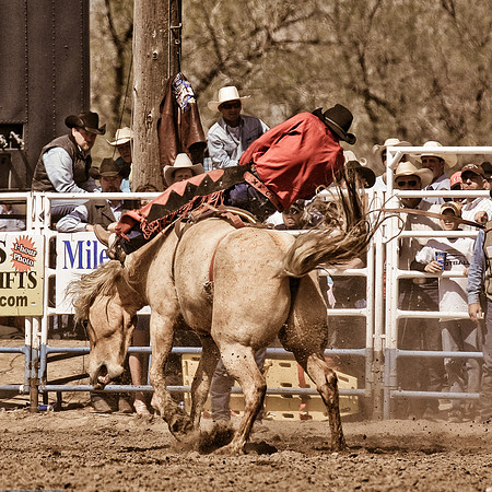 miles_city-2253-308