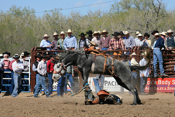 miles_city-2403-366