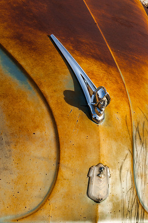 The Dreamer  DeSoto-3953