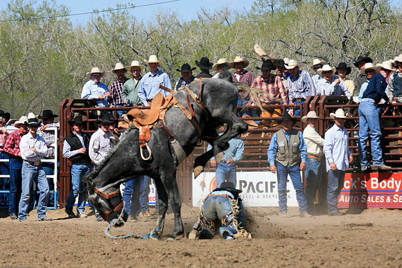 miles_city-2404-367