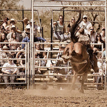 miles_city-2238-298