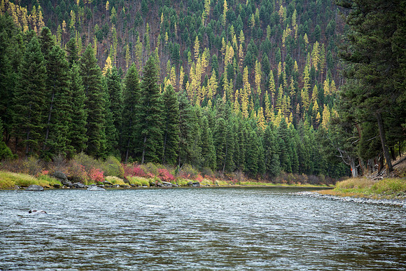 Blackfoot River