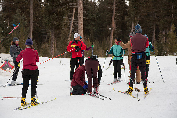 OSCR_2012-13