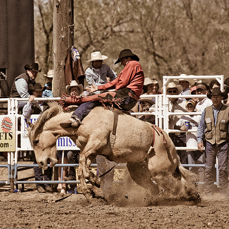 miles_city-2246-301