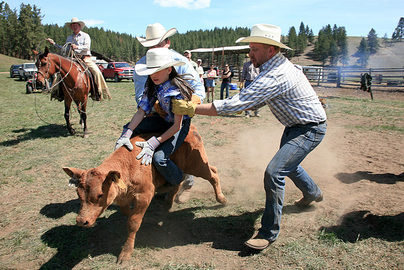 calf_branding_599