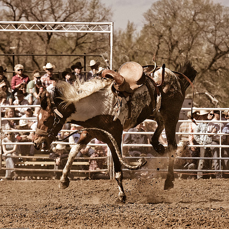 miles_city-1086-501