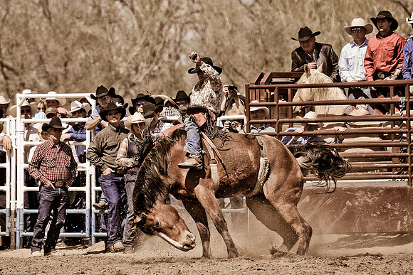 miles_city-2227-289