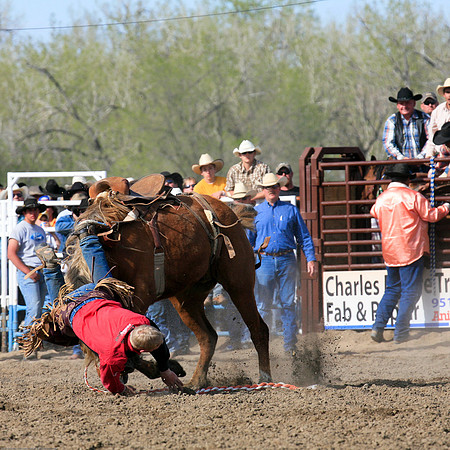 miles_city-1165-534