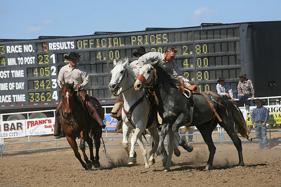 miles_city-2413-370
