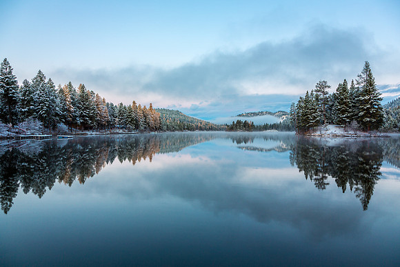 Grizzly Morning First Snow