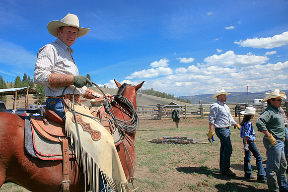 calf_branding_766
