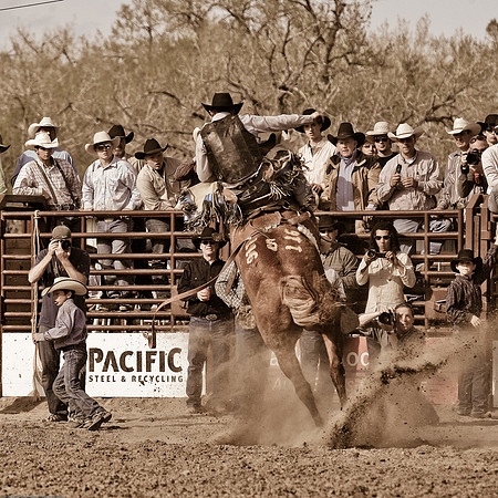 miles_city-1287-574