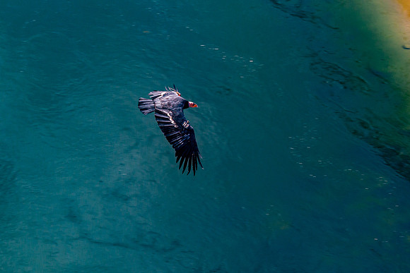 November 01, 202020201101-_U7A6979