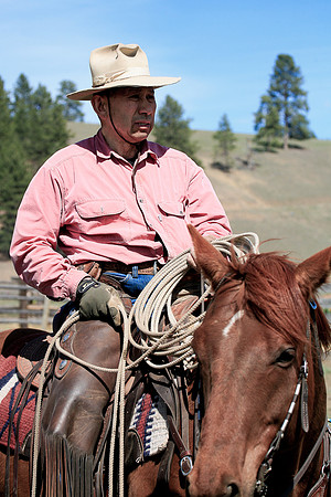 calf_branding_969
